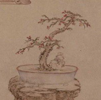 厅堂花材
